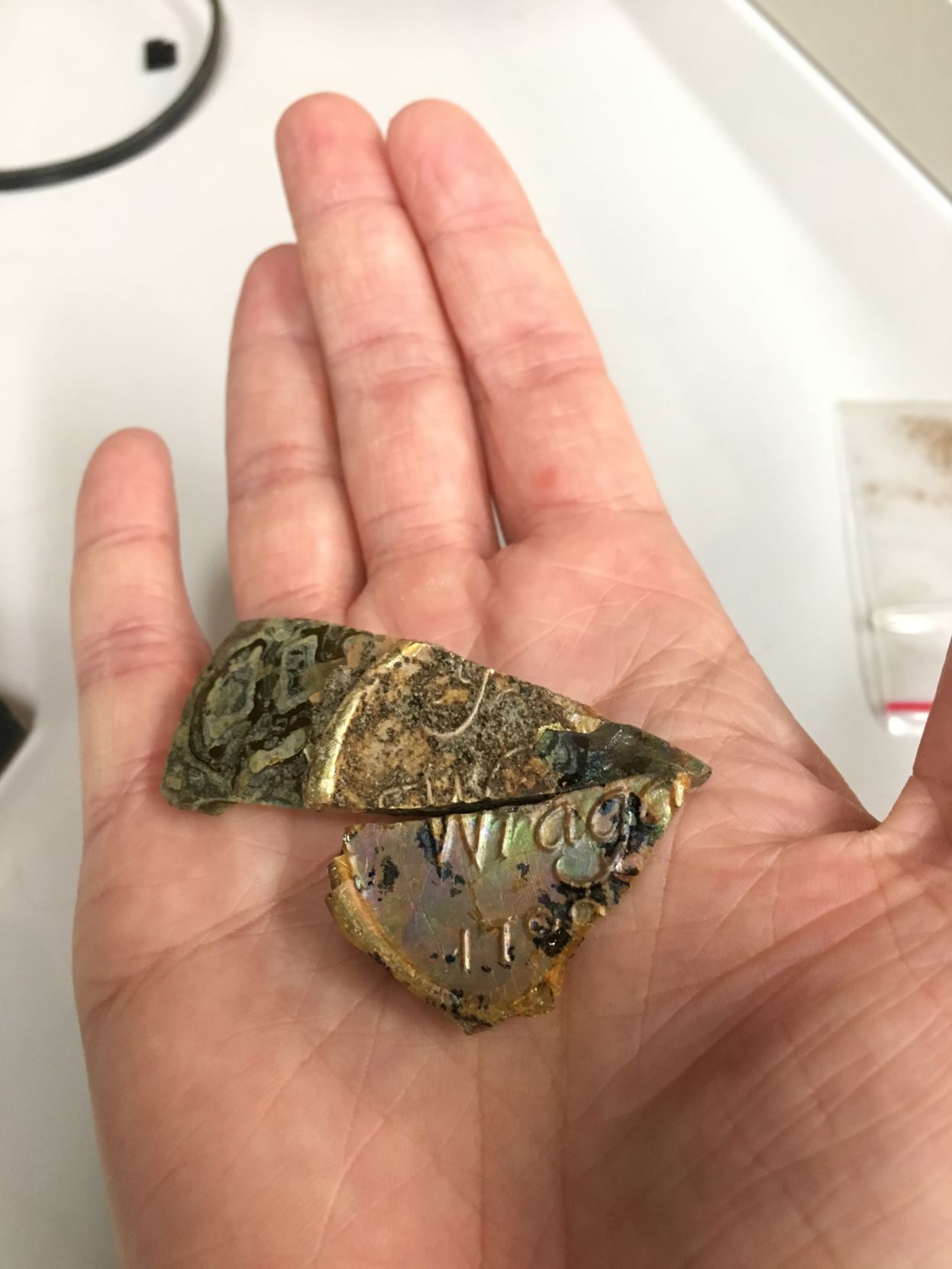 Mended seal